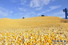 深刻认识玉米收储制度改革的重大意义